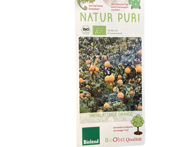 Bio Pomarančovník horký (Citrus × aurantium) - Tutifruti SK Bio Pomarančovník horký (Citrus × aurantium) - Tutifruti SK