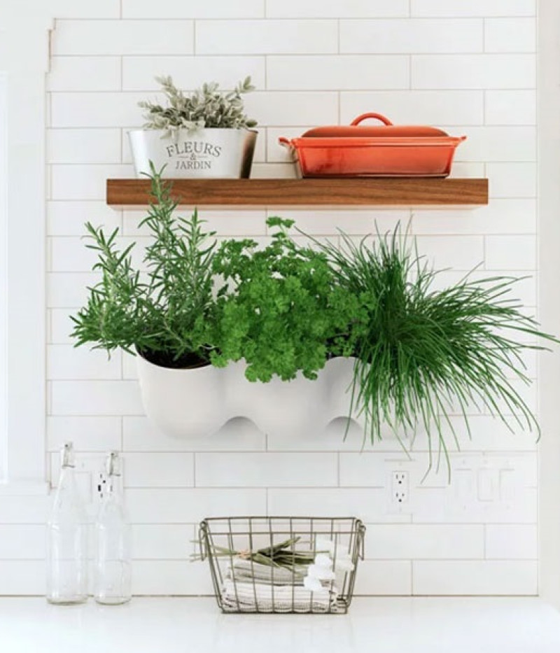 Kvetináč  ZS1-C04 - Tutifruti SK