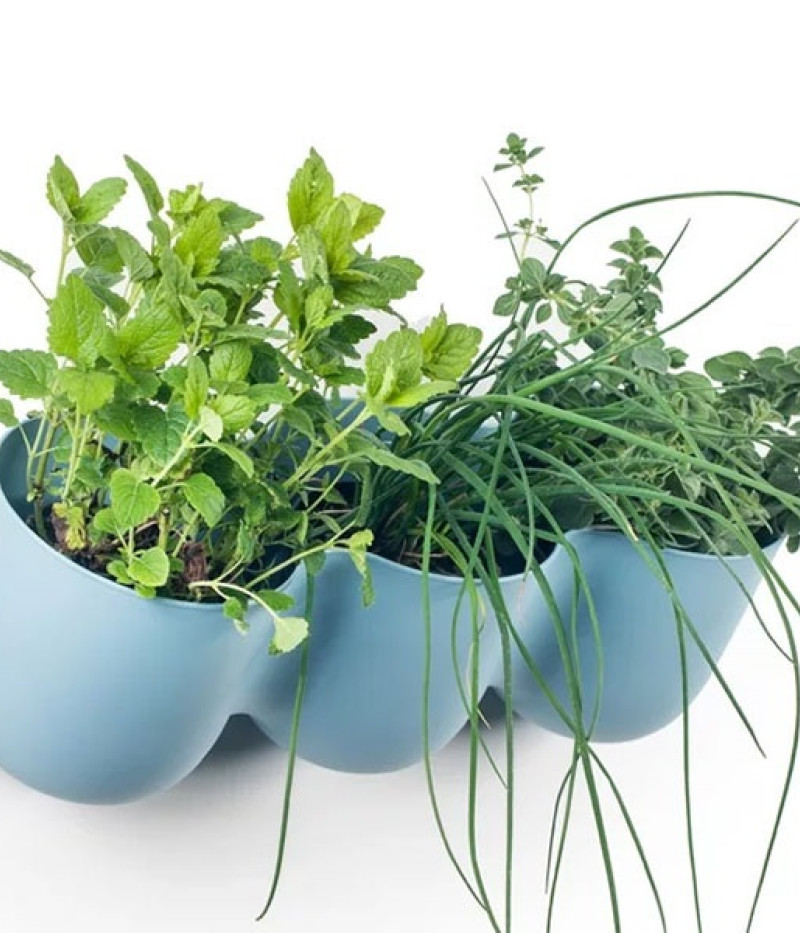 Kvetináč  ZS1-C04 - Tutifruti SK