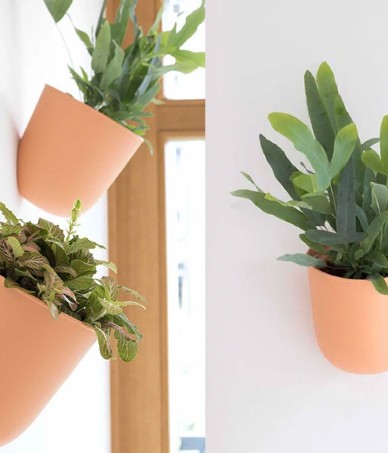 Kvetináč  ZS1-C04 - Tutifruti SK