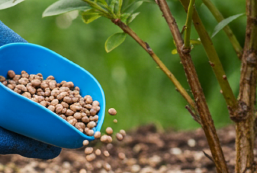 Môj systém hnojenia: Maximálna úroda s minimálnymi nákladmi | Blog