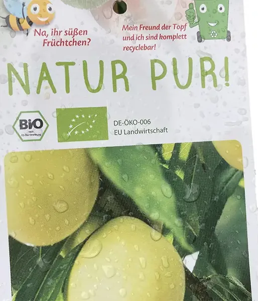 BIO Broskyňo-marhuľa (Prunus persica) HONEYSUN - Tutifruti SK