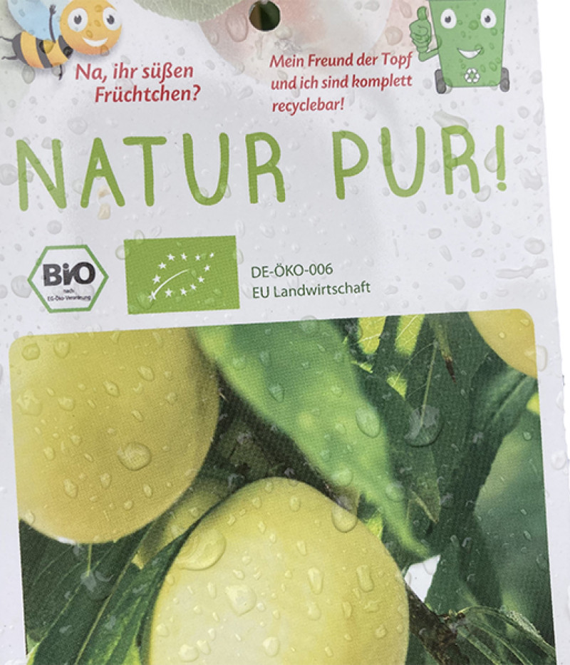 BIO Broskyňo-marhuľa (Prunus persica) HONEYSUN - Tutifruti SK