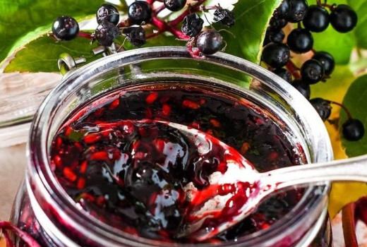 Rod Sambucus (Baza): Botanika, fytochémia a liečivý potenciál