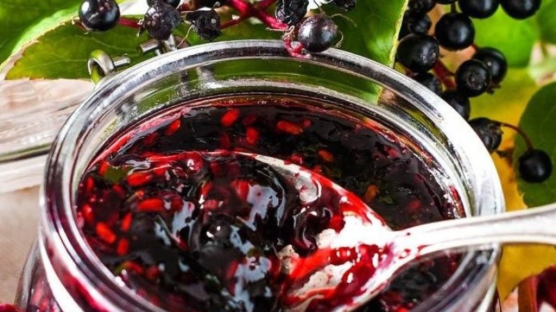 Rod Sambucus (Baza): Botanika, fytochémia a liečivý potenciál