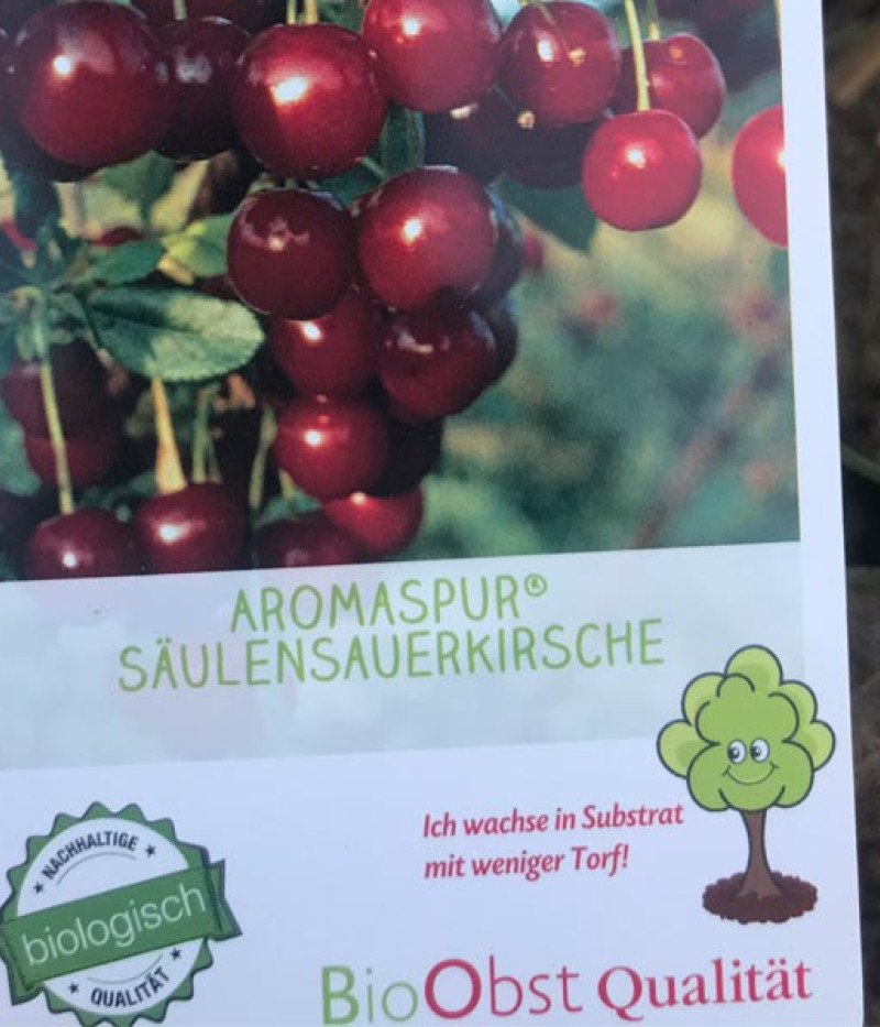BIO Višňa AROMA SPUR SÄULENSAUERKIRSCHE (stĺpová) - Tutifruti SK