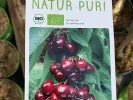 BIO AROMA SPUR SÄULENSÜßKIRSCHE DUNKELROT - Tutifruti SK