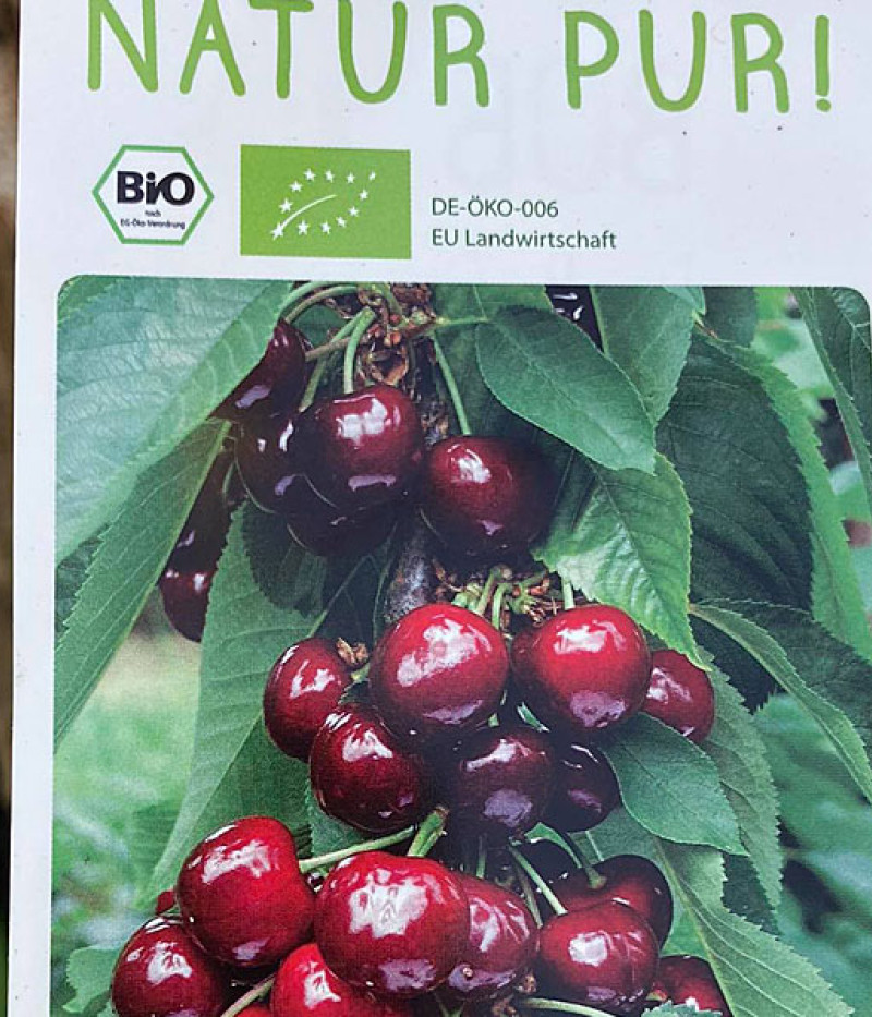 BIO AROMA SPUR SÄULENSÜßKIRSCHE DUNKELROT - Tutifruti SK