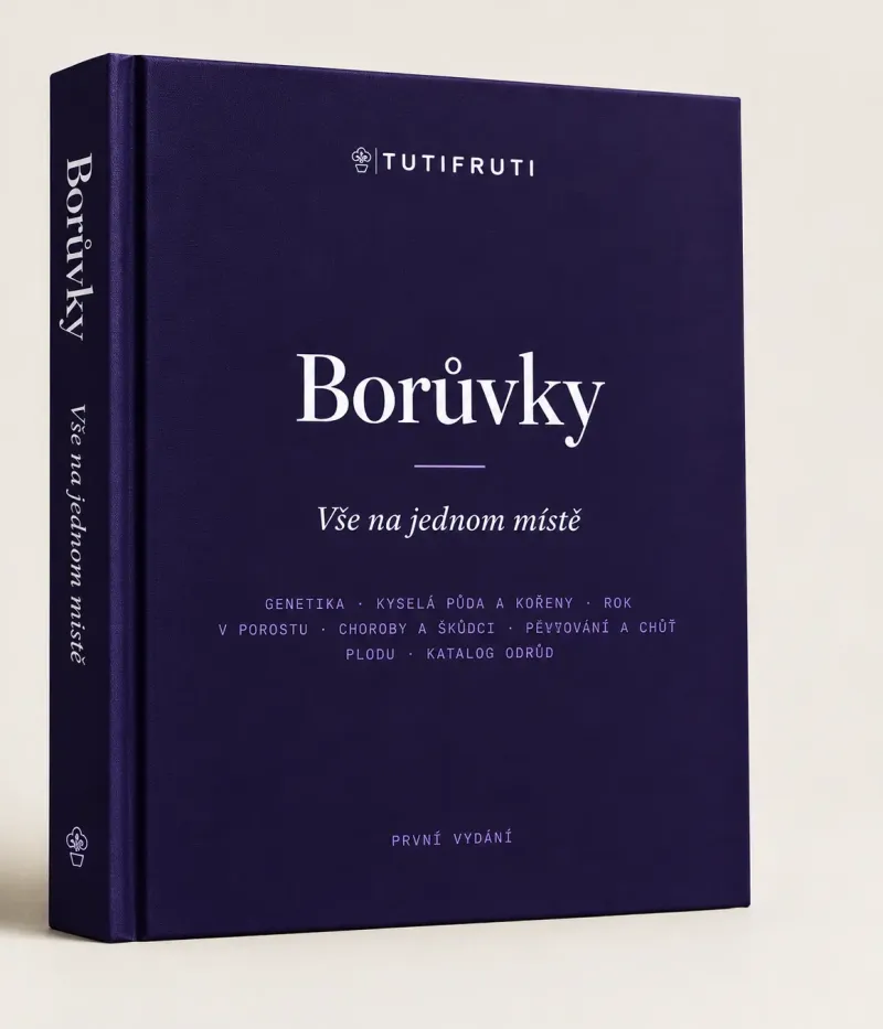Blueberries - Everything in One Place (PDF e-book) Czech