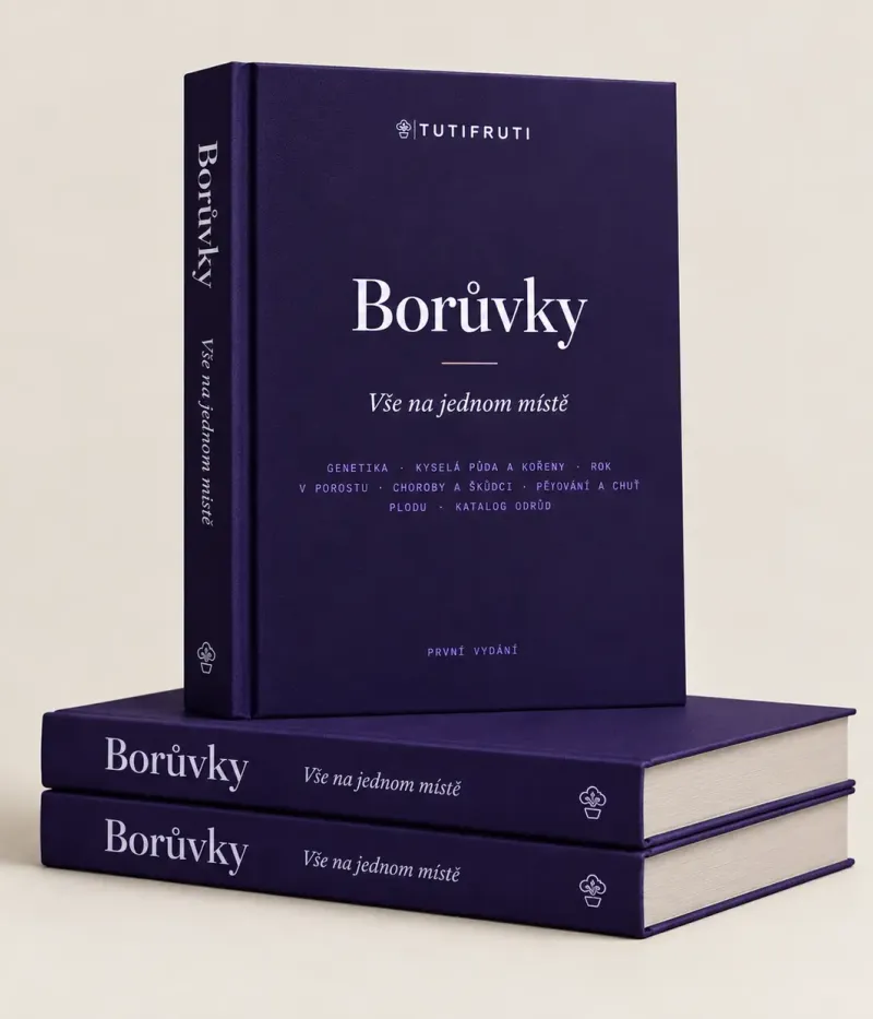 Blueberries - Everything in One Place (PDF e-book) Czech