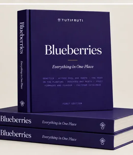 Blueberries - Everything in One Place (PDF e-book) English