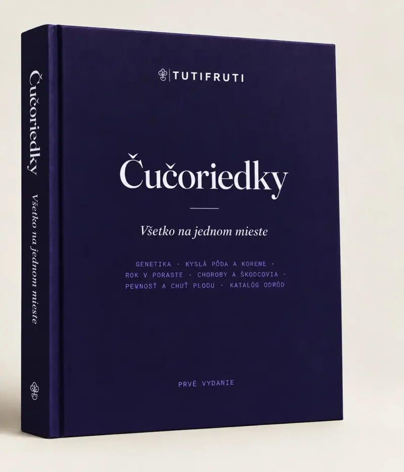 Blueberries - Everything in One Place (PDF e-book) Slovak