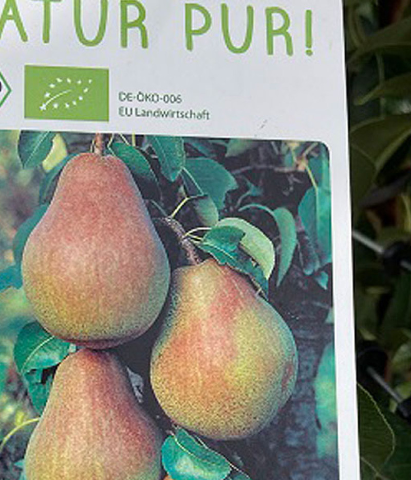 BIO Hruška stĺpová AROMA SPUR GELB-ROT - Tutifruti SK