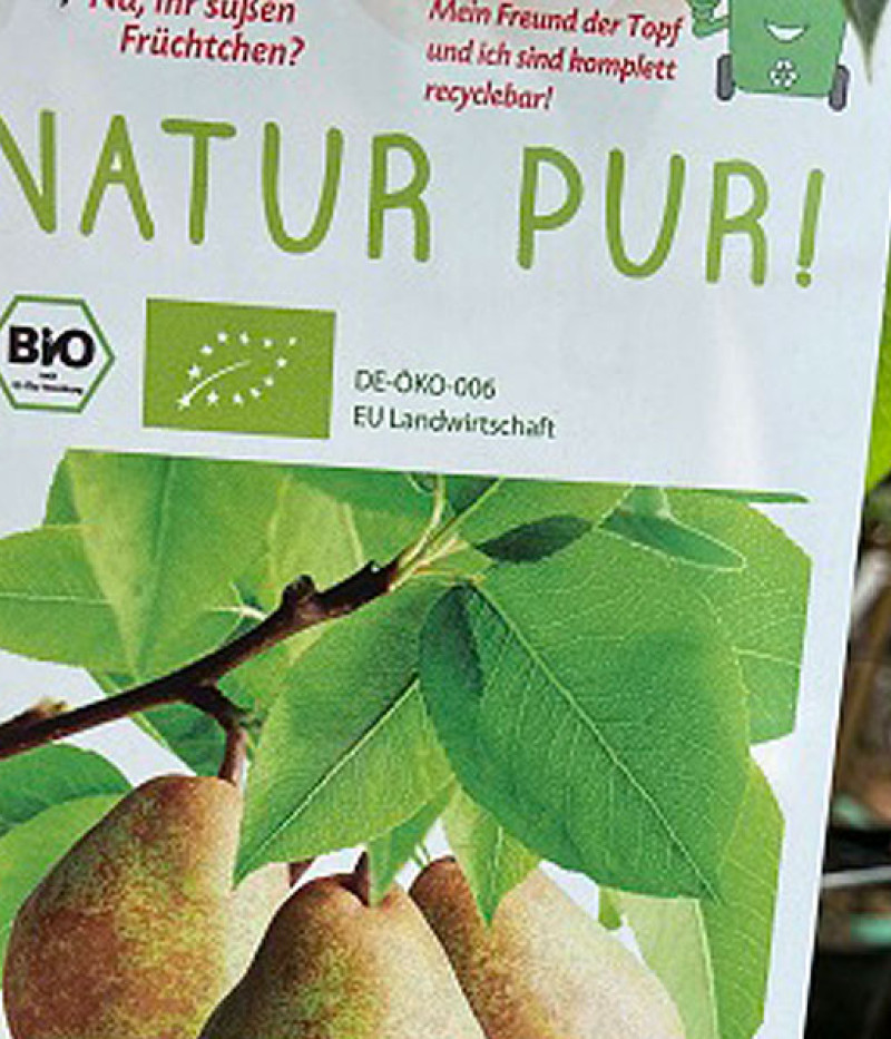 BIO Hruška AROMA SPUR GRUN-BRAUN - Tutifruti SK