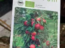 BIO Jabloň stĺpová BLACK MC INTOSH - Tutifruti SK