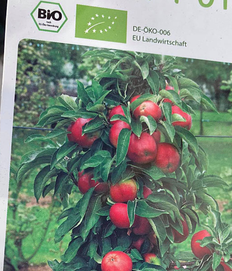 BIO Jabloň stĺpová BLACK MC INTOSH - Tutifruti SK