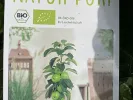 BIO Jabloň stĺpová AROMA SPUR GRUN - Tutifruti SK
