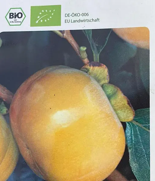 BIO Hurmi Kaki (Diospyros kaki) FUYU
