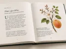 Marhule – Všetko na jednom mieste (E-kniha PDF) - Slovenčina - Tutifruti, s.r.o.