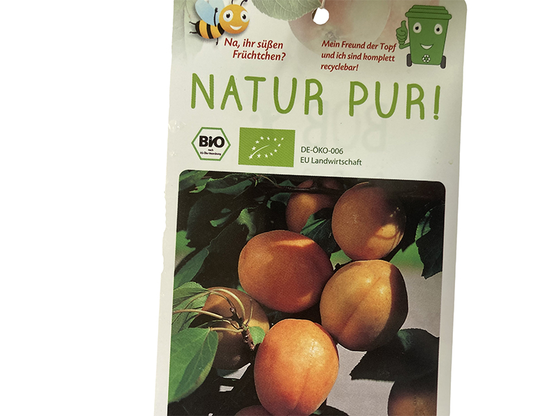 BIO Marhuľa (Prunus armeniaca) ARMI COL® stĺpová