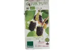 BIO Maulbeere (Morus nigra) MULLE - Tutifruti SK