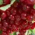 Red currants