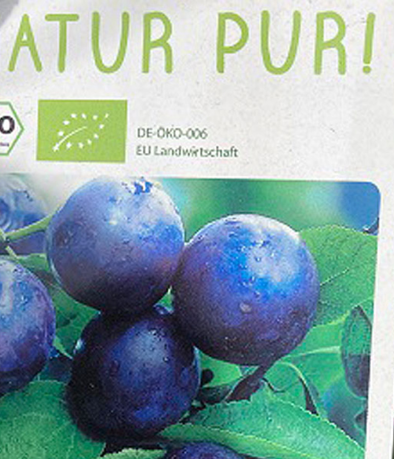 BIO Slivka neskorá (Prunus domestica) AROMA SPUR (stĺpová) - Tutifruti SK