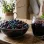 Mrazenie čučoriedok a antokyány | Ako zachovať antioxidanty