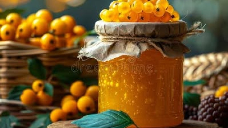 Ríbezľa zlatá (Ribes aureum) a severské druhy: Botanika a chémia